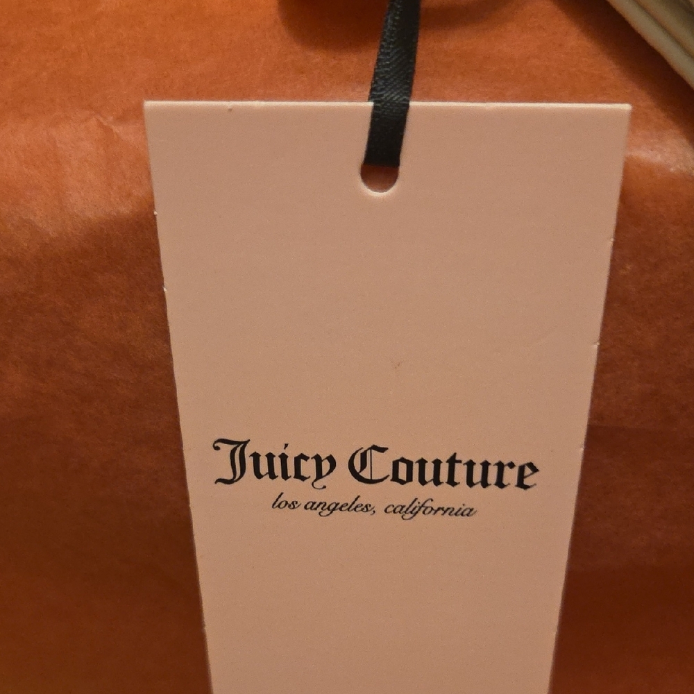Juicy Couture Cream Card Holder with Gold Chain - Picture 4 of 5